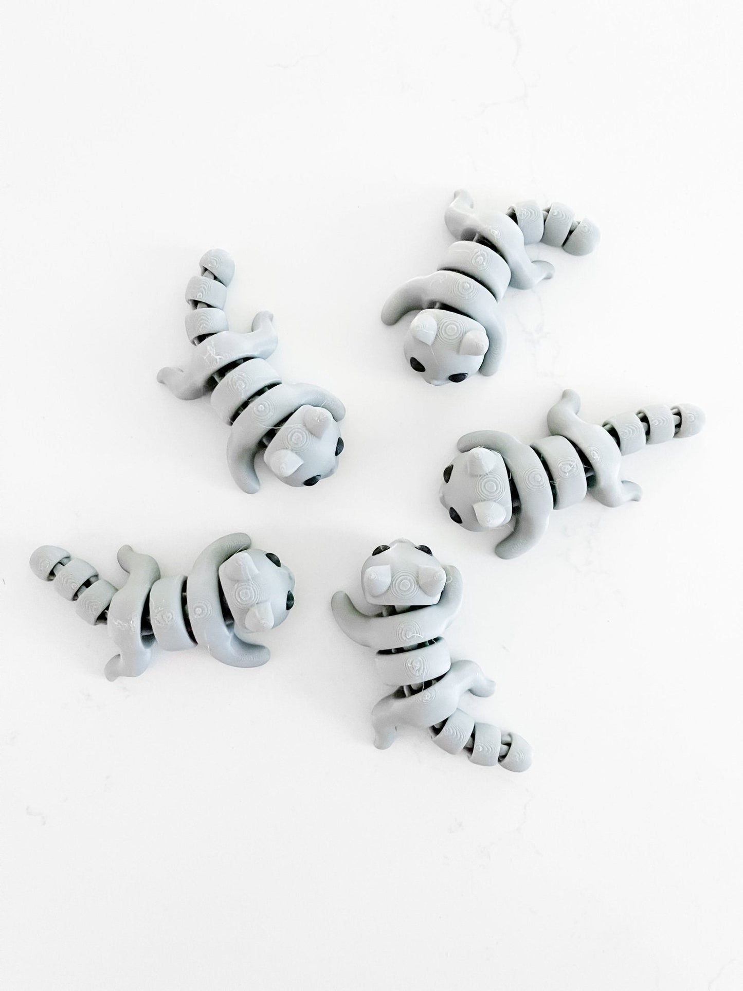Baby Cat Fidget - MYSTERY color