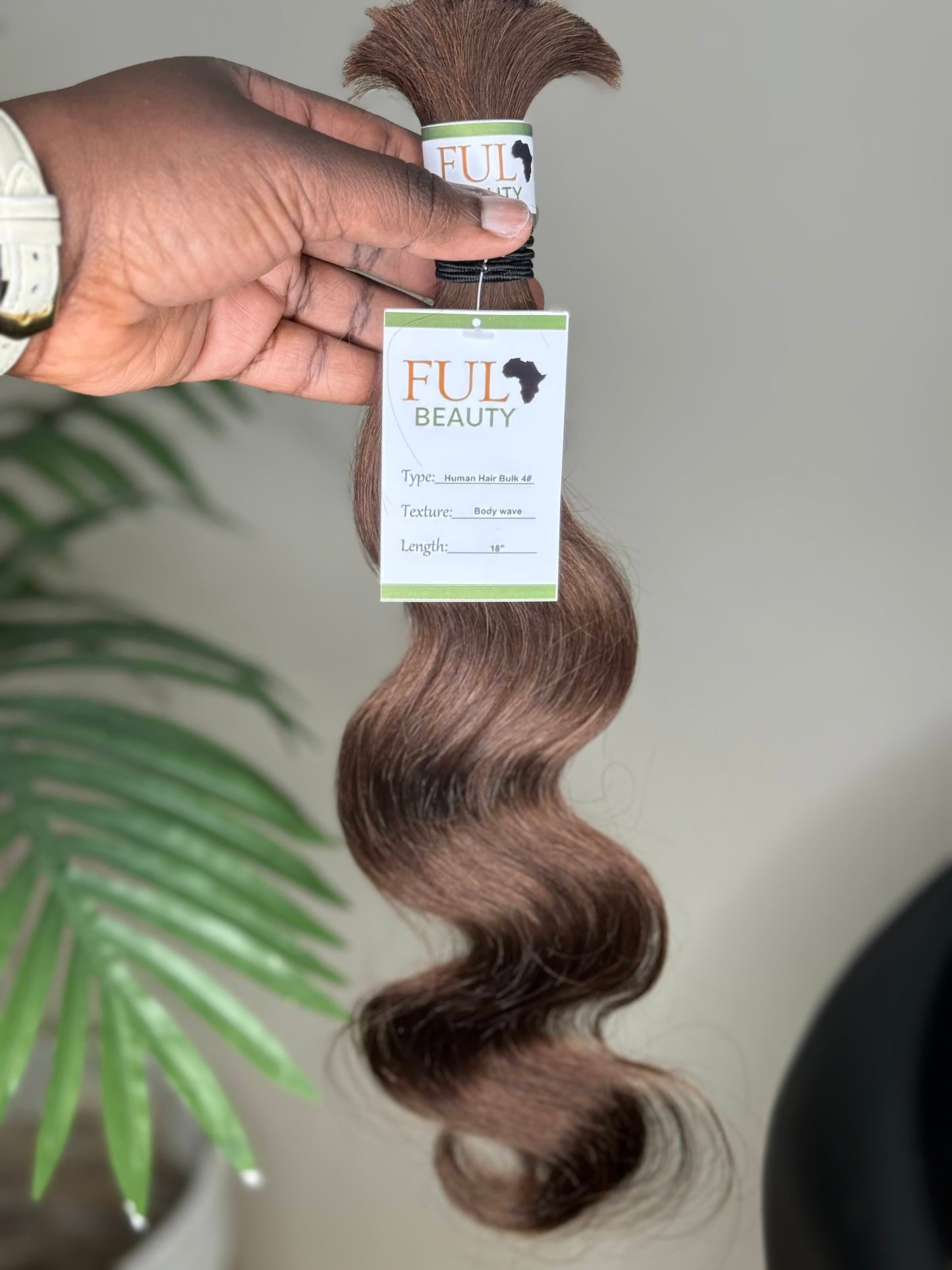 Body Wave