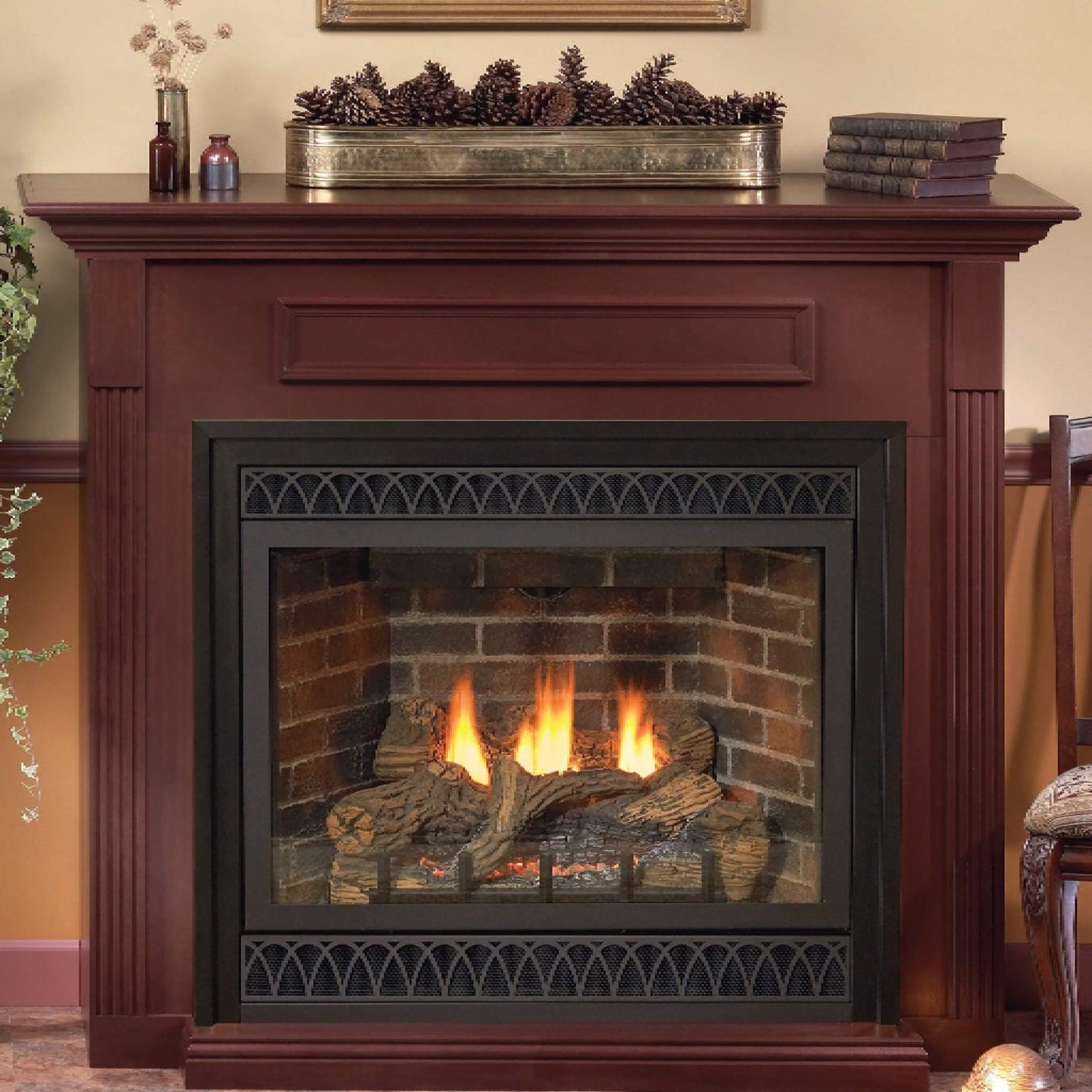 White Mountain Hearth (Empire) Tahoe 36-Inch Propane Gas Direct Vent Deluxe Fireplace [DVD36FP] (SAK67105)